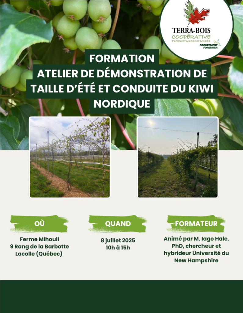 Atelier de démonstration de taille d’été et conduite du kiwi nordique