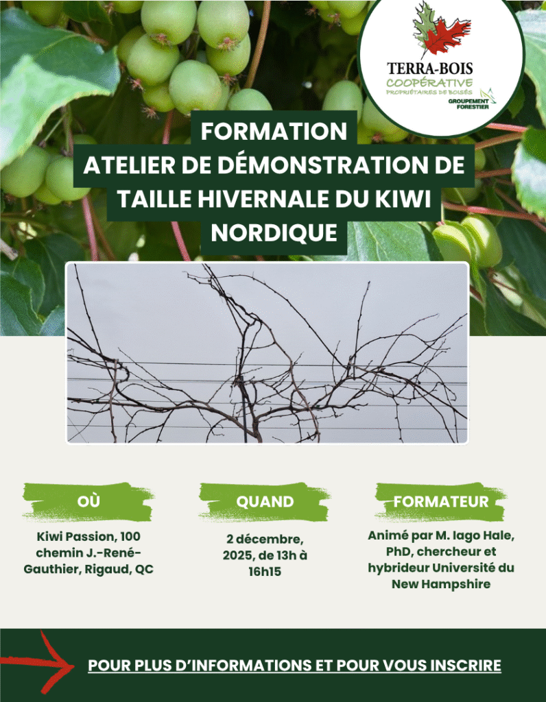 Formation atelier de démonstration de taille hivernale du kiwi nordique